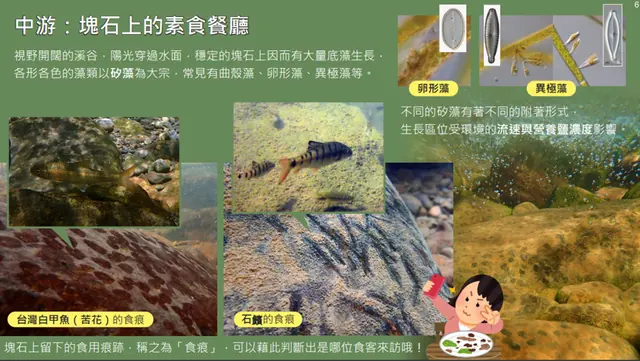 教材編輯：作品 3