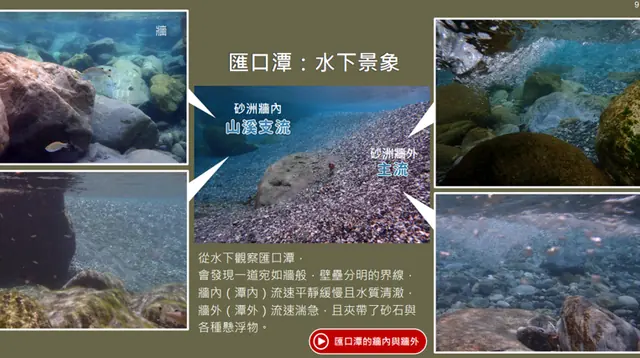 教材編輯：作品 4